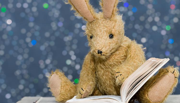 Saturday Storytime February 2022