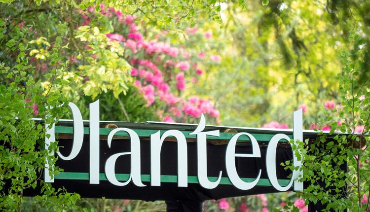 Planted Country at Stourhead National Trust