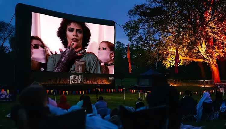 Adventure Cinema: THE ROCKY HORROR PICTURE SHOW (15)