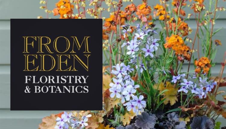 Outdoor Planted Containers