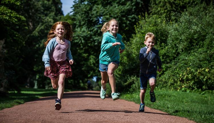Summer play at Westonbirt - free family activities