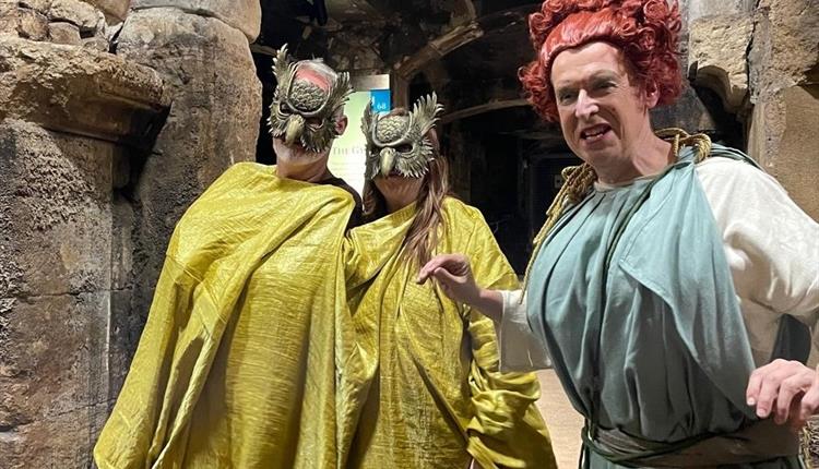 Togas To Go: A Roman Comedy