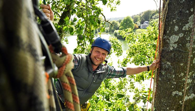 Tree Climbing