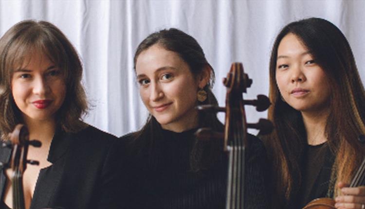 Trio Kurtag
