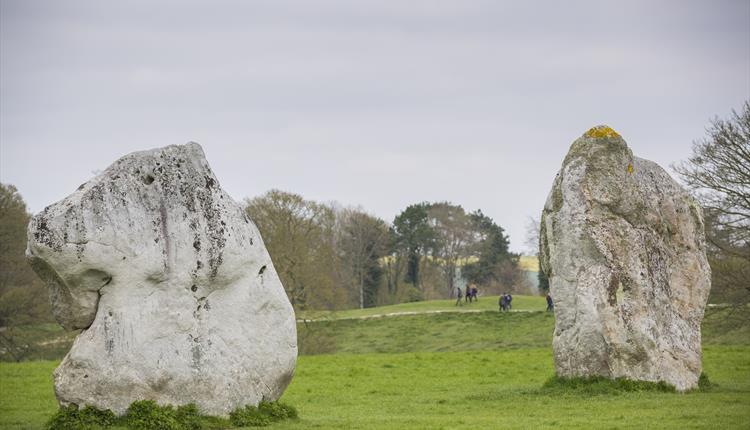 Family Stone Circle Tour