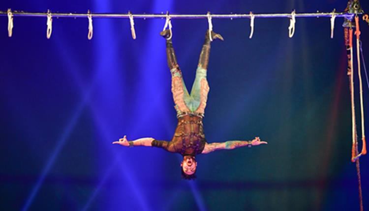 Circus Extreme